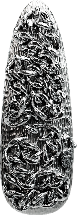 seal nail jewelry icon