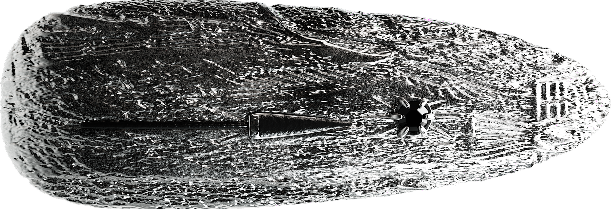 seal nail jewelry side view