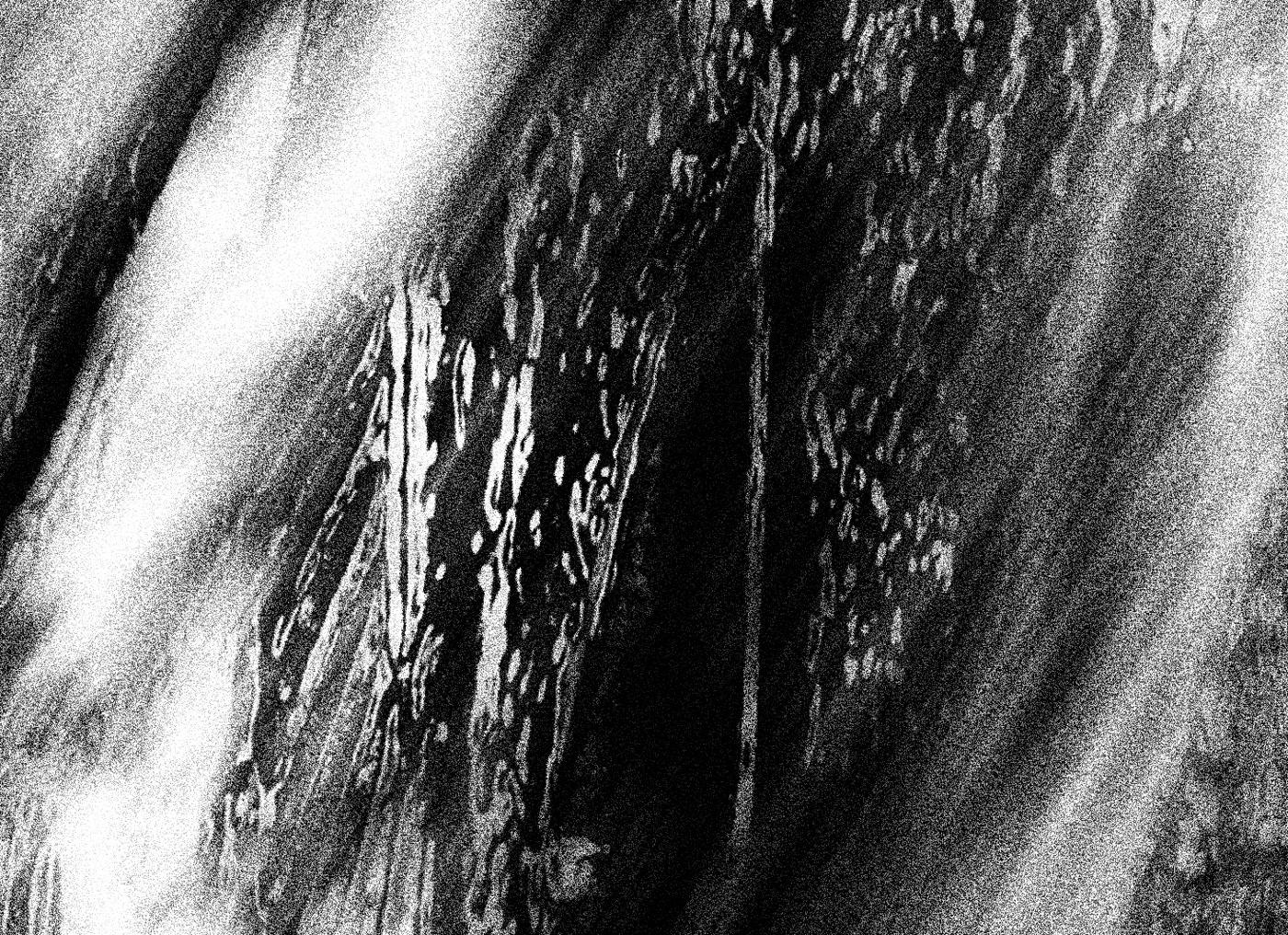 Seal nail jewelry with arrow