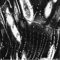 Widow nail jewelry texture detail